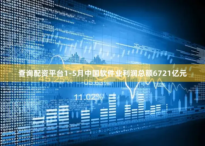 查询配资平台1-5月中国软件业利润总额6721亿元