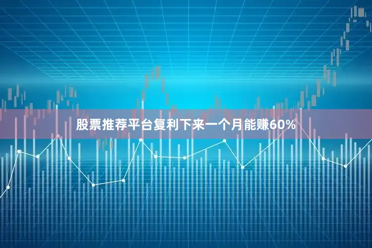 股票推荐平台复利下来一个月能赚60%