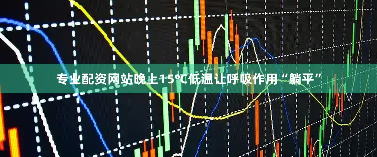 专业配资网站晚上15℃低温让呼吸作用“躺平”